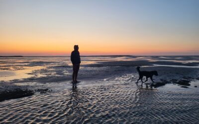 6 daagse meezeiltocht over ’t Wad 20 – 25 september 2026 vanuit Harlingen